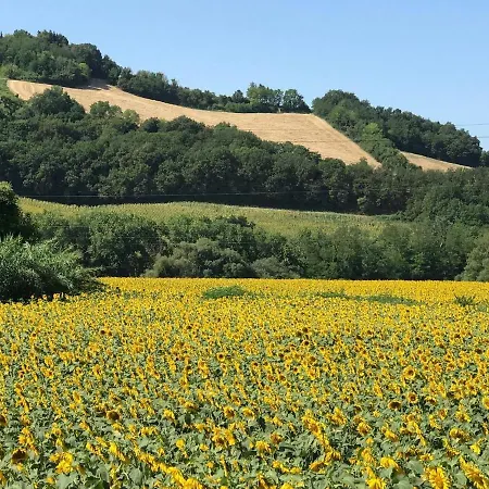 Antica Fonte Holiday home Tavullia